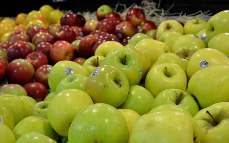 قیمت خرید سیب زرد دماوند با فروش عمده